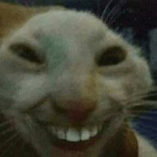 Amizades Sem Fim